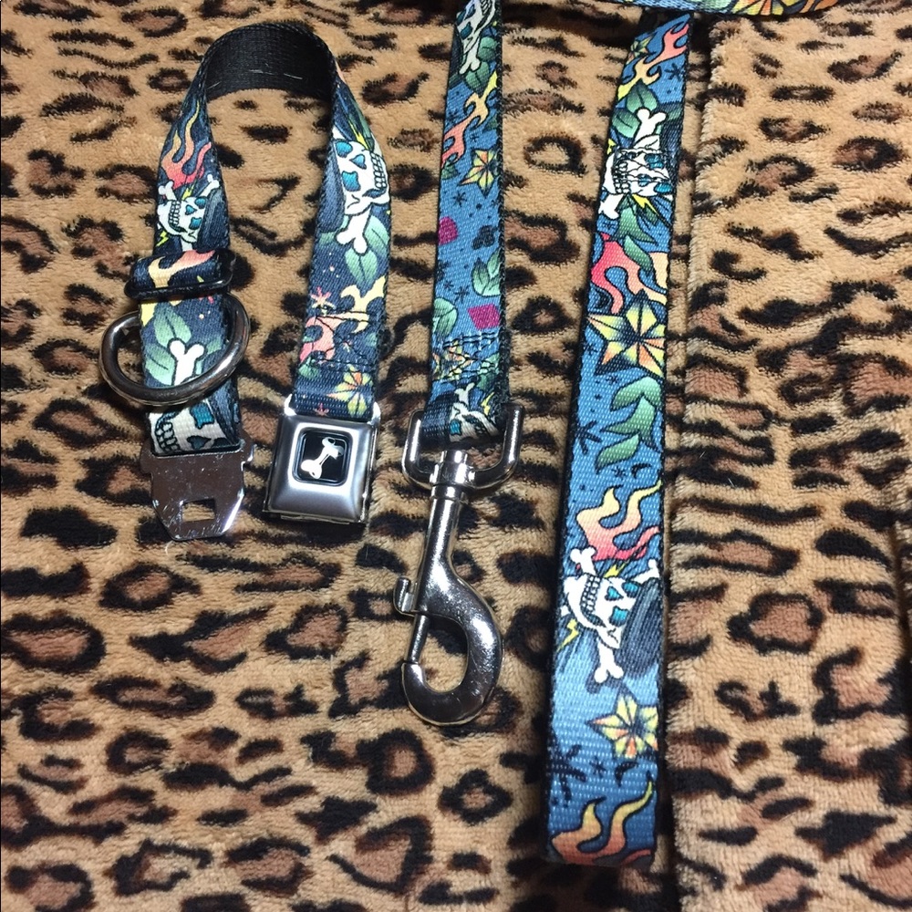 Seat belt dog collar and leash